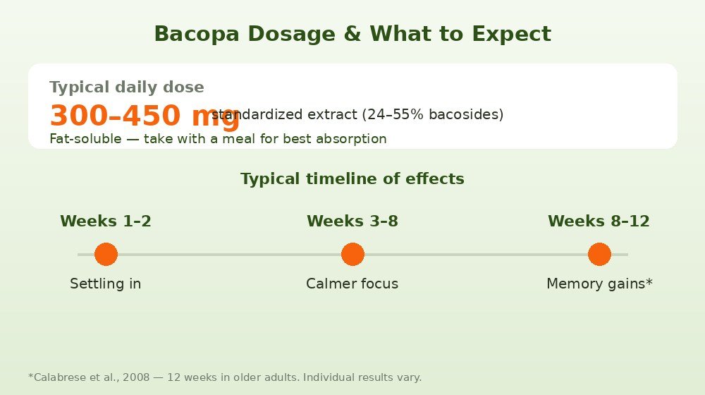 Bacopa Monnieri dosage of 300 to 450 mg daily and a timeline showing benefits build over about 12 weeks