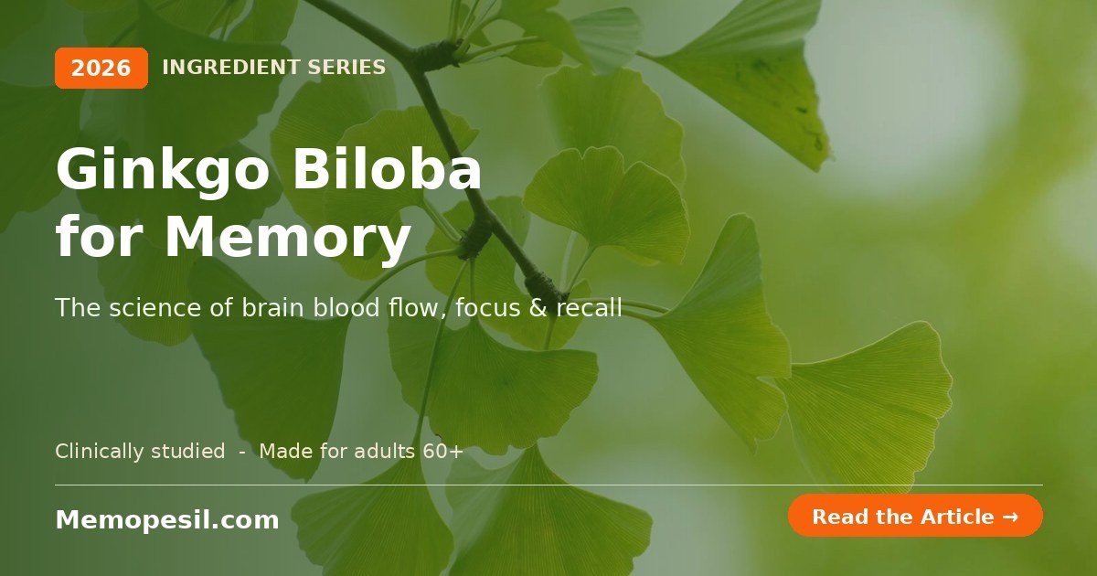 Ginkgo Biloba for memory and brain blood flow in adults 60+