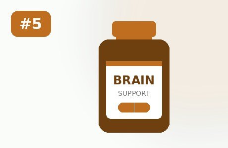 BrainBright Daily memory supplement, ranked #5 in 2026